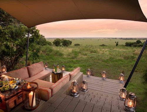 Serengeti Great Migration