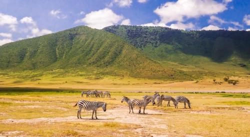 imageafrica_safari_ngorongoro_crater