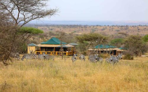 imageafrica_safari_tented_camp